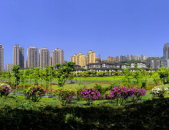 渝北区写真,探寻山城魅力，感受都市繁华